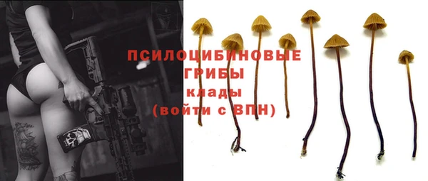 сатива Алзамай