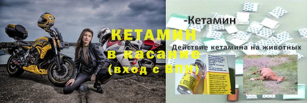 шишки Дмитриев