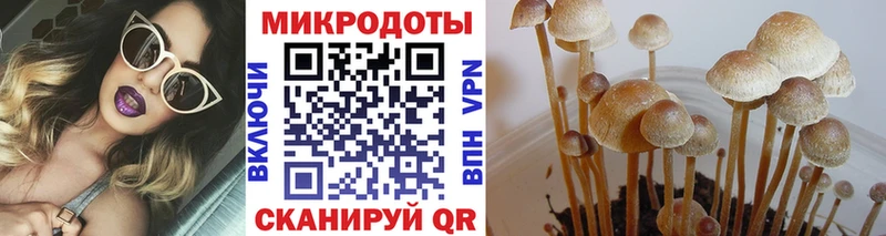 Псилоцибиновые грибы Cubensis  Нытва 